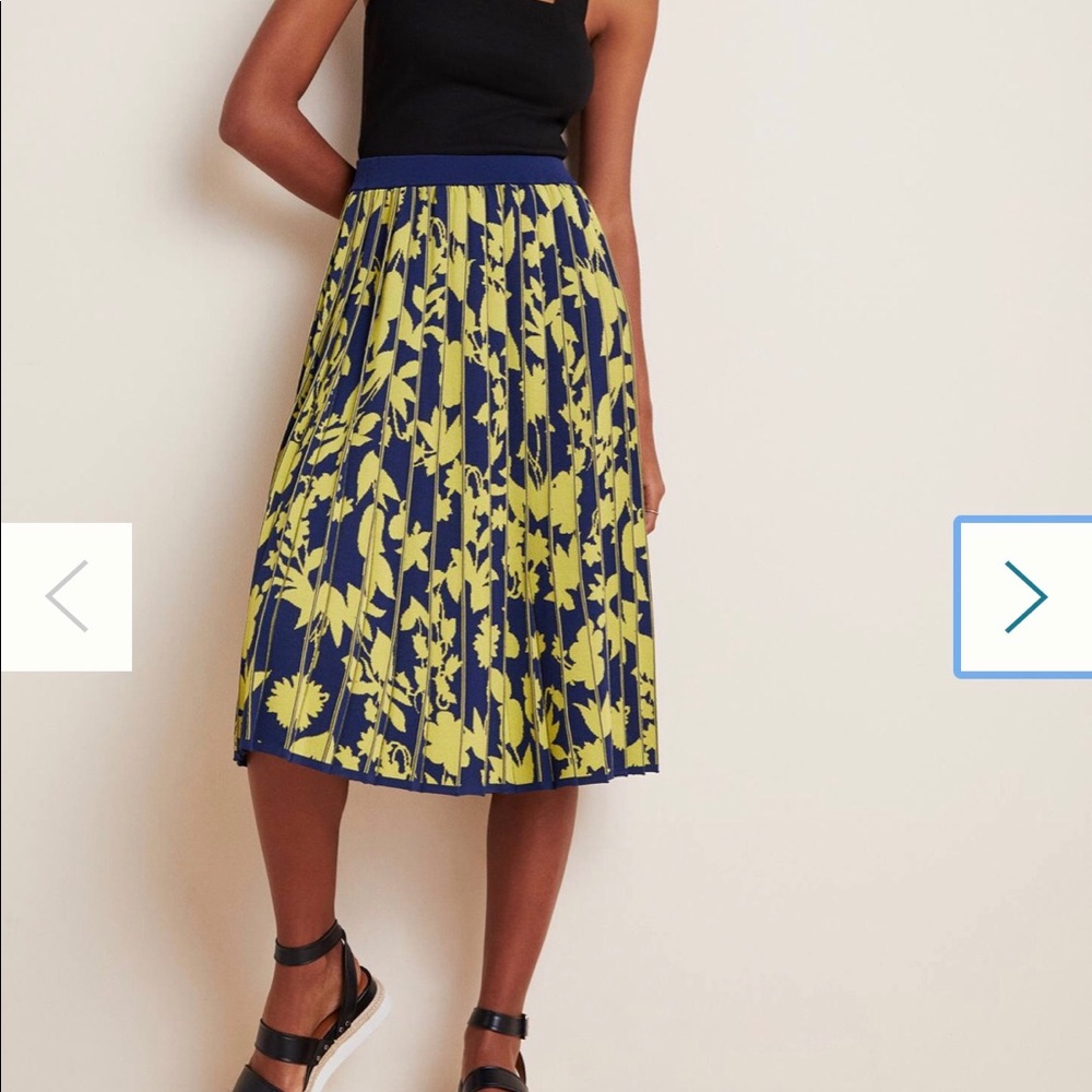 Leandra pleaded skirt